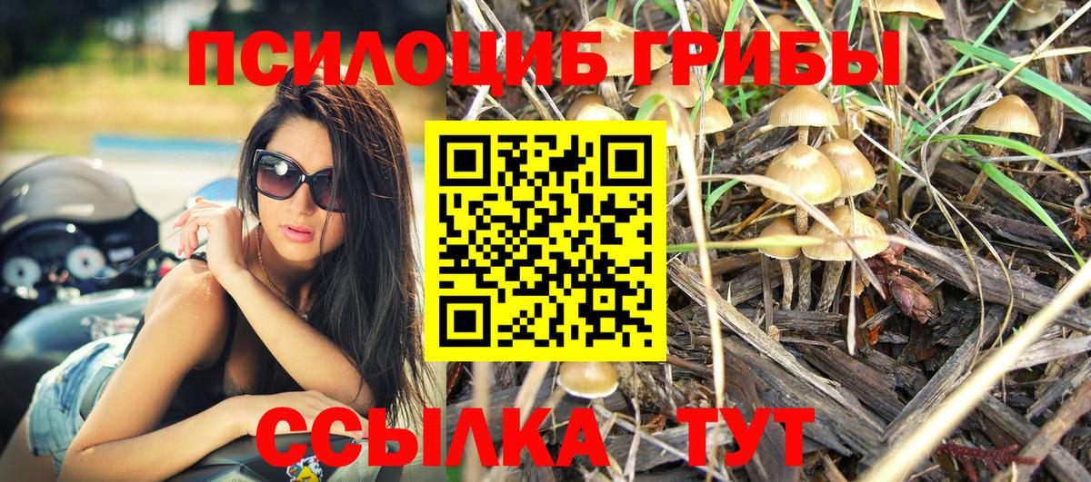 Галлюциногенные грибы MAGIC MUSHROOMS Егорьевск