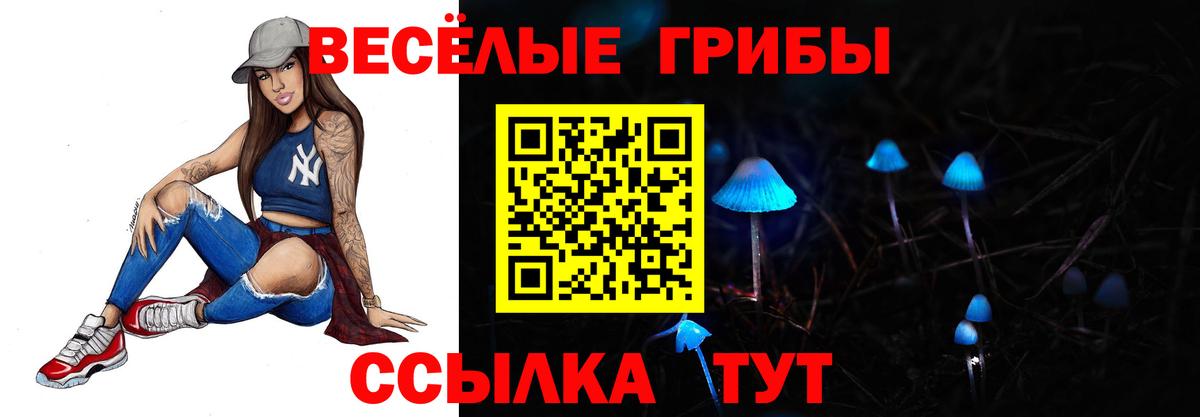 Псилоцибиновые грибы Cubensis  Вход с VPN  Егорьевск  купить закладку  Галлюциногенные грибы Psilocybe 